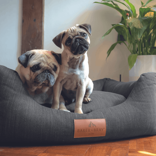 Luxury Dog Beds 2 Image