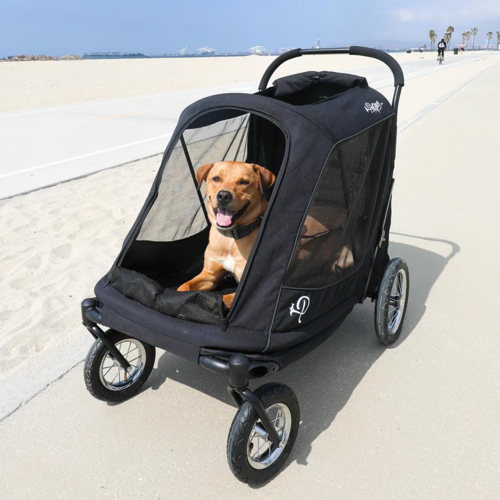 Stroller For a Dog 2 Image