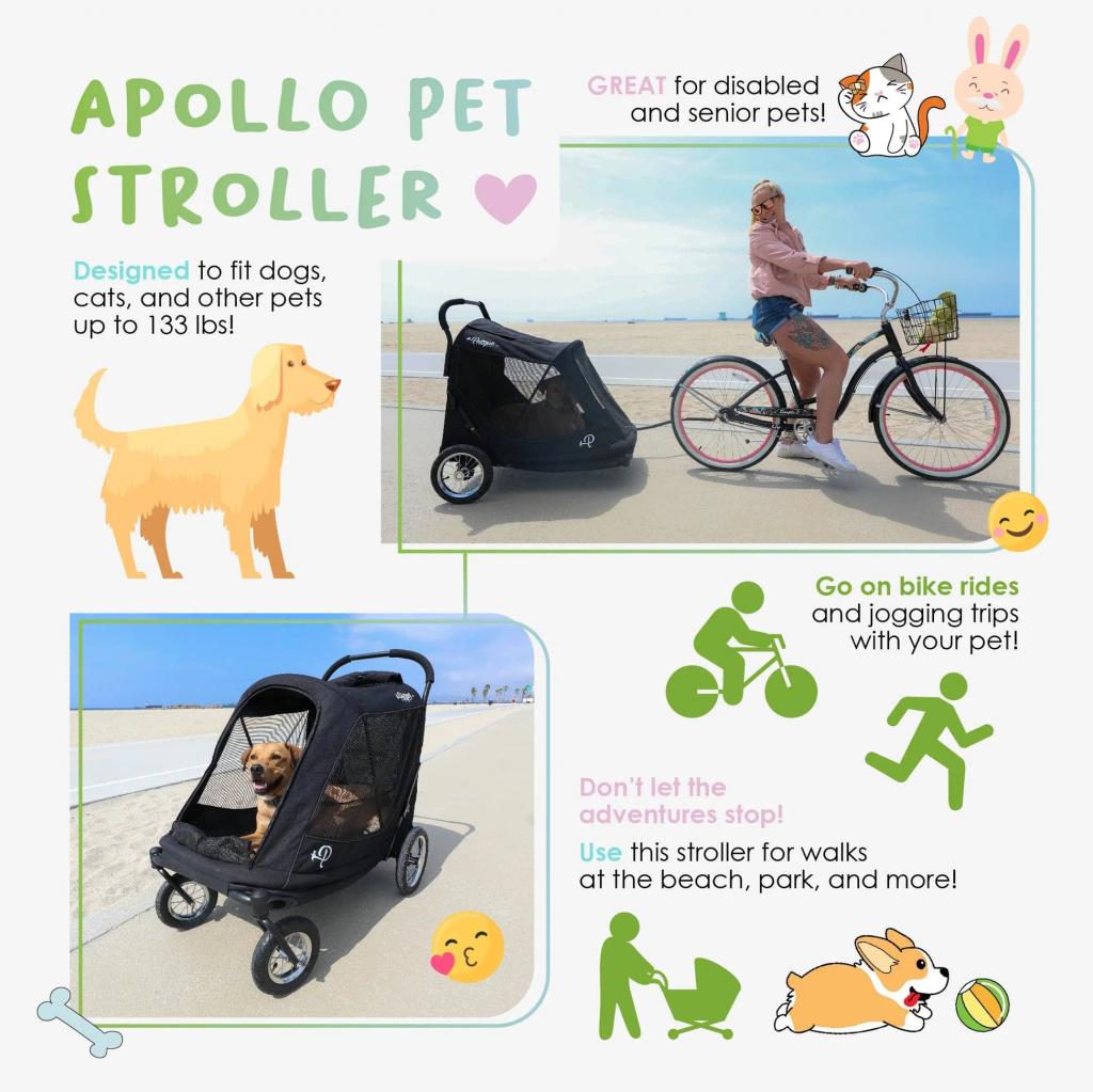 Stroller For a Dog 5 Image