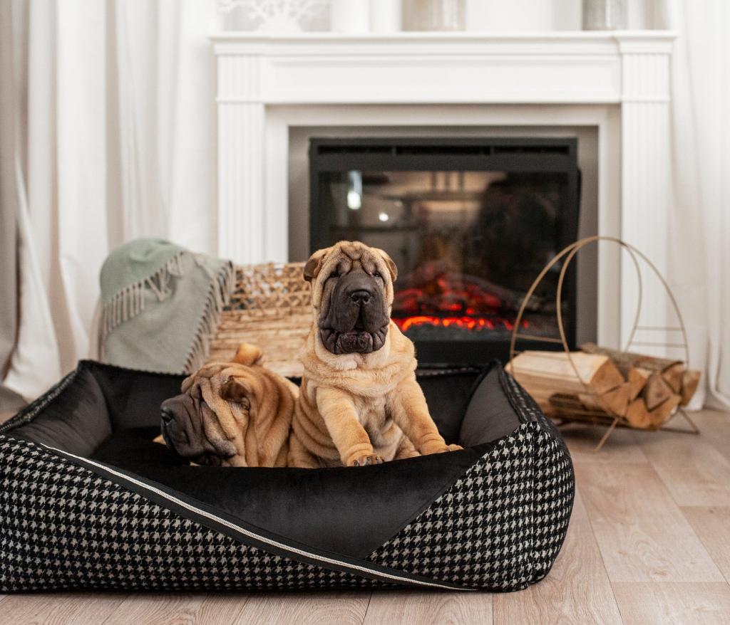 Luxury Dog Beds 2 Image