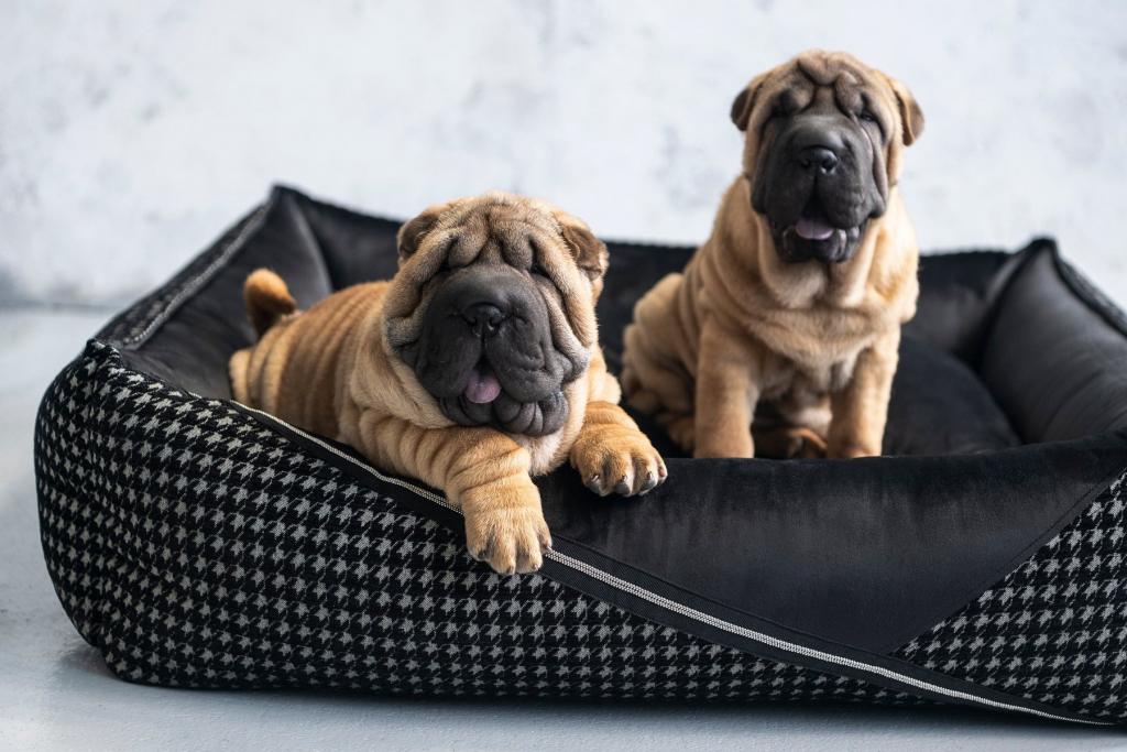 Luxury Dog Beds 3 Image