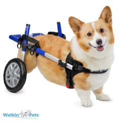 Wheels4Dogs