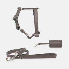 Vegan Dog Collar And Leashes