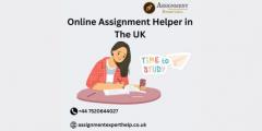 Online Assignment Helper In The Uk
