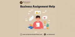 Are You Looking For Business Assignment Help