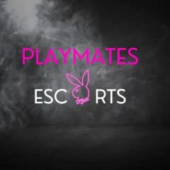 Playmates Escorts Agency In Manchester