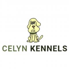 Luxury Dog Boarding At Celyn Kennels