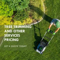 Your Trusted Landscaping Services In Gloucester