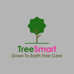 Tree Smart Rotherham - Qualified Tree Surgeons A