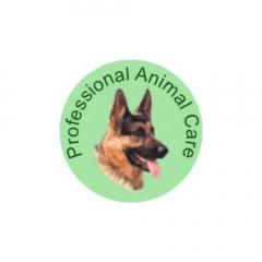 Unleash Potential Expert Canine Training In Bath