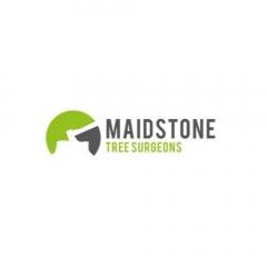 Professional Arborist Services In Maidstone  Mai