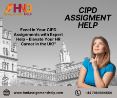 Unlock Your Hr Potential With Cipd Assignment As