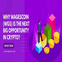 Why Wagescoin Wgs Is The Next Big Opportunity In