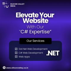 Outosurce C Sharp Dot Net Developmenet Services