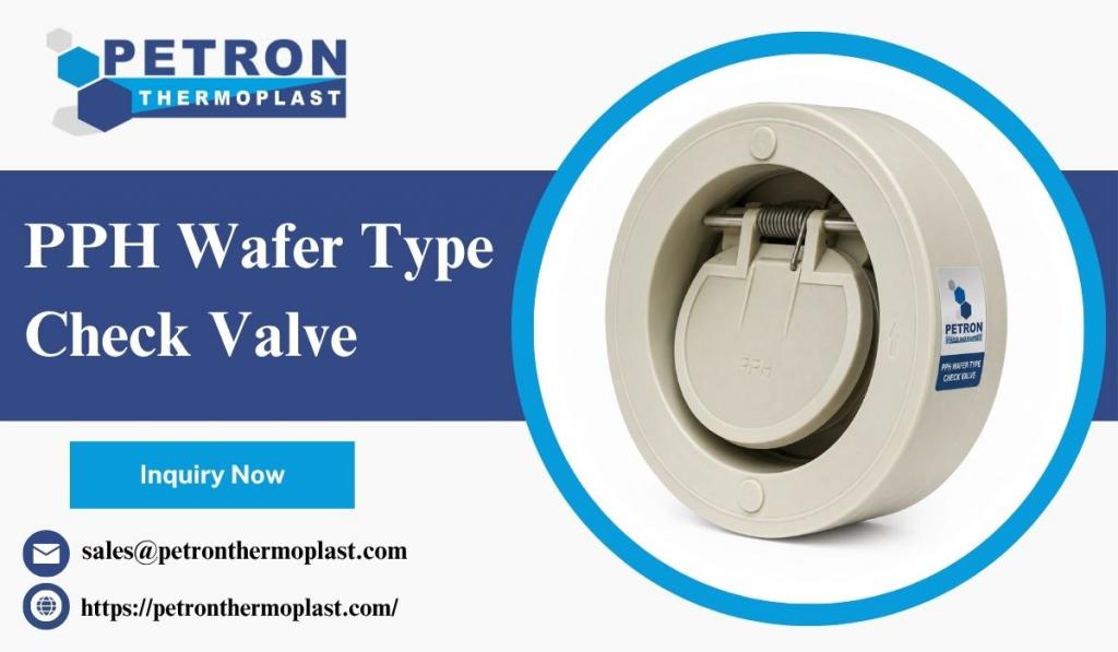 Buy PPH Wafer Type Check Valve at Manufacturer Prices 2 Image