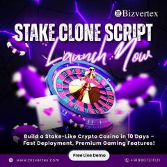 Build Your Igaming Empire With Bizvertex Stake C