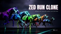 Zed Run Clone-Create Horse Racing Game Like Zed 