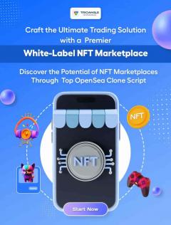 Rarible Clone Script - Nft