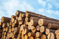 Timber Supplier In The Midlands