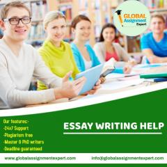 Essay Writing Help