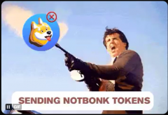 Notbonk  Not A Dog, Not A Cat  Its Just Notbonk 