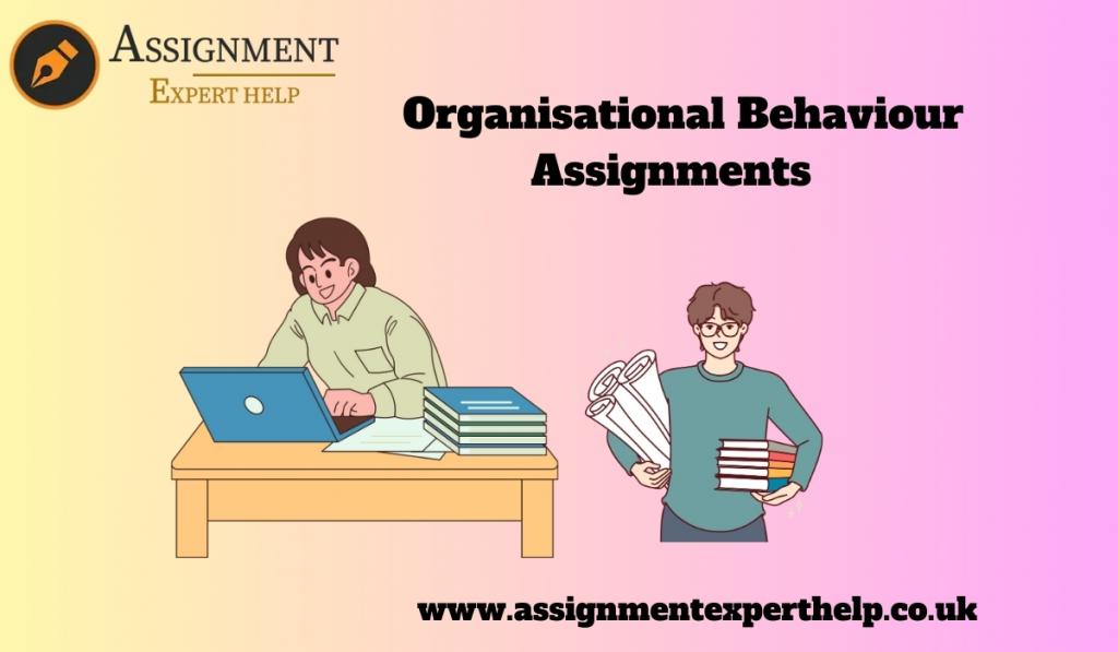 Organisational Behaviour Assignments 2 Image