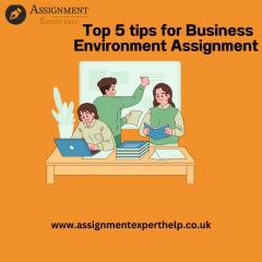 Top 10 Tips For Business Environment Assignment
