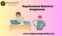 Organisational Behaviour Assignments