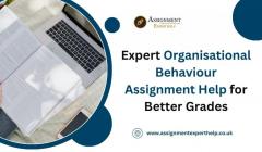 Expert Organisational Behaviour Assignment Help 