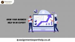 Business Dissertation Help In Uk Experts