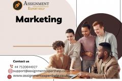 Marketing Dissertation Help From Top Uk Experts