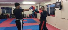 Discover Kick Boxing Excellence At Taylors Marti