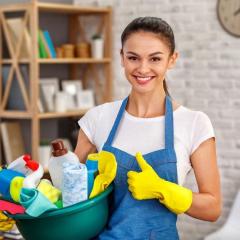 Professional Domestic Cleaning In Bridgend, Amma