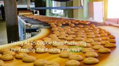 Transforming Cookie Manufacturing With Ai-Based 