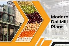 How To Establish A Dal Mill Plant To Expand Your