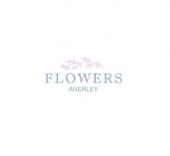 Flowers Anerley