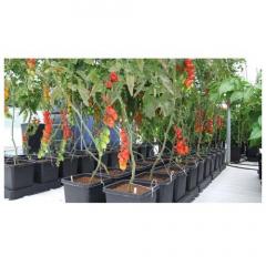 Everything You Need For A Better Grow