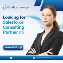 Looking For Salesforce Consulting Partner