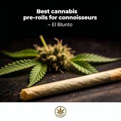 Best Cannabis Pre-Rolls For Connoisseurs