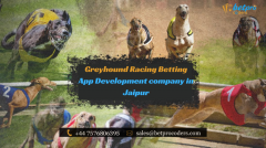 Top Greyhound Racing Betting App Development Com