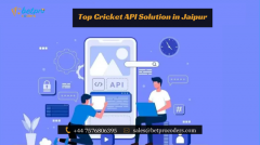 Top Cricket Api Solution In Jaipur