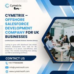 Offshore Salesforce Development Service Company 