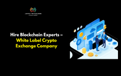 Hire Blockchain Experts  White Label Crypto Exch