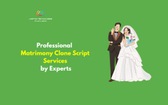 Professional Matrimony Clone Script Services By 