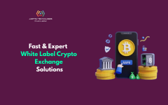Fast & Expert White Label Crypto Exchange Soluti