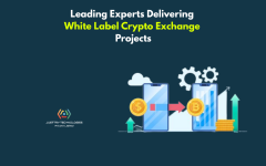 Leading Experts Delivering White Label Crypto Ex