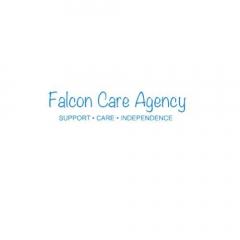 Falcon Care Agency Ltd  Expert Care For Children