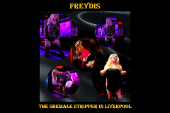 The Shemale Party Stripper