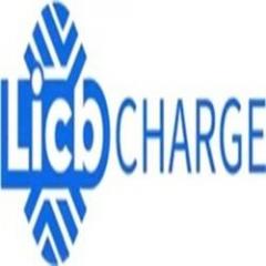 China Licb Ac Dc Ev Charger Co., Ltd