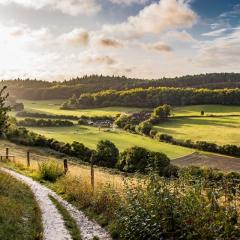 Country Walks